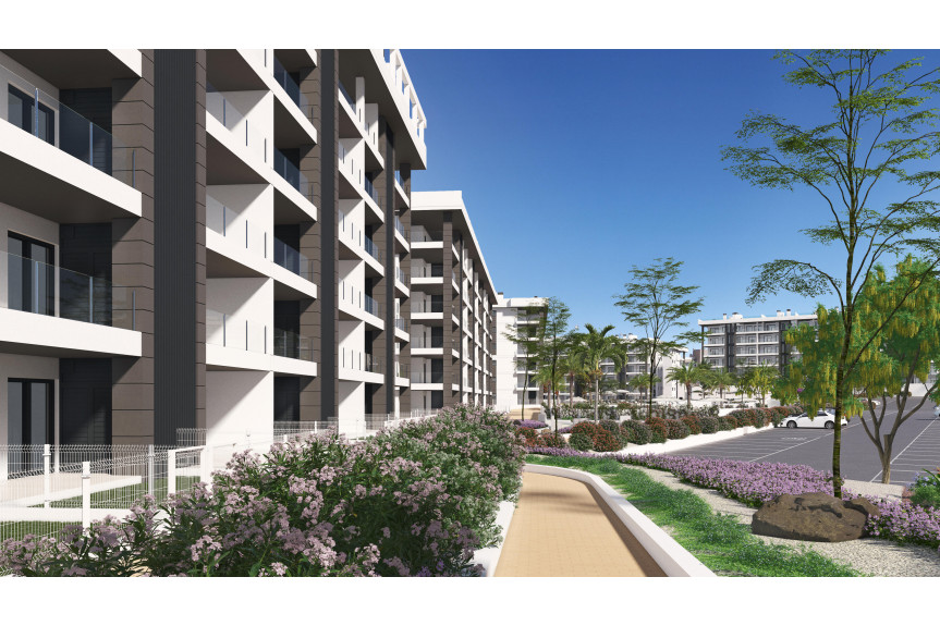 Torrevieja, Apartments