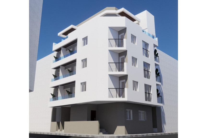 Torrevieja, Estudio