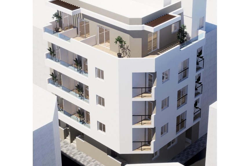 Torrevieja, Estudio