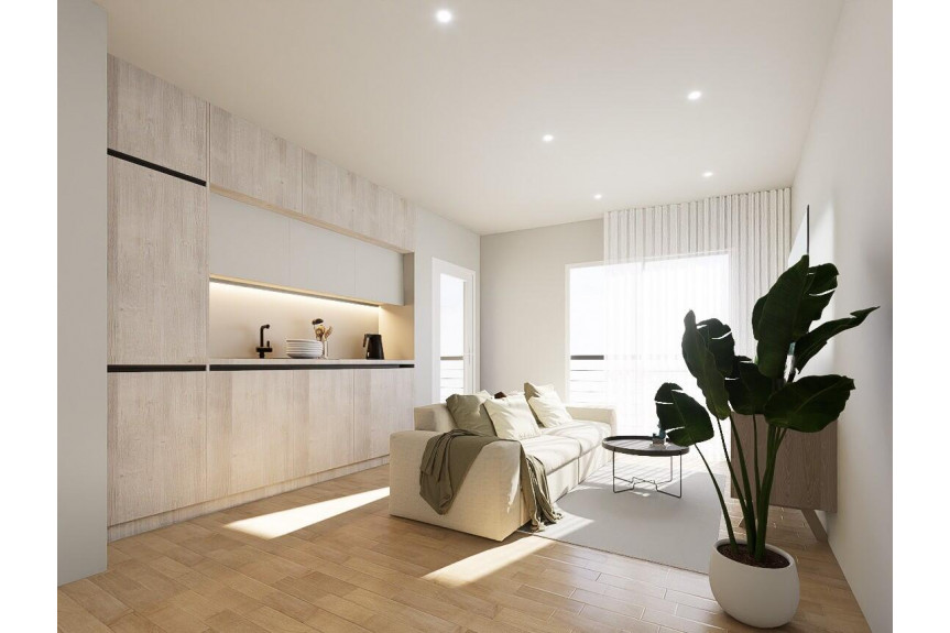Torrevieja, Estudio
