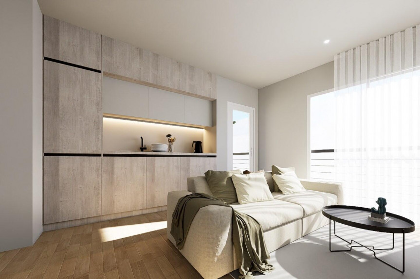 Torrevieja, Estudio