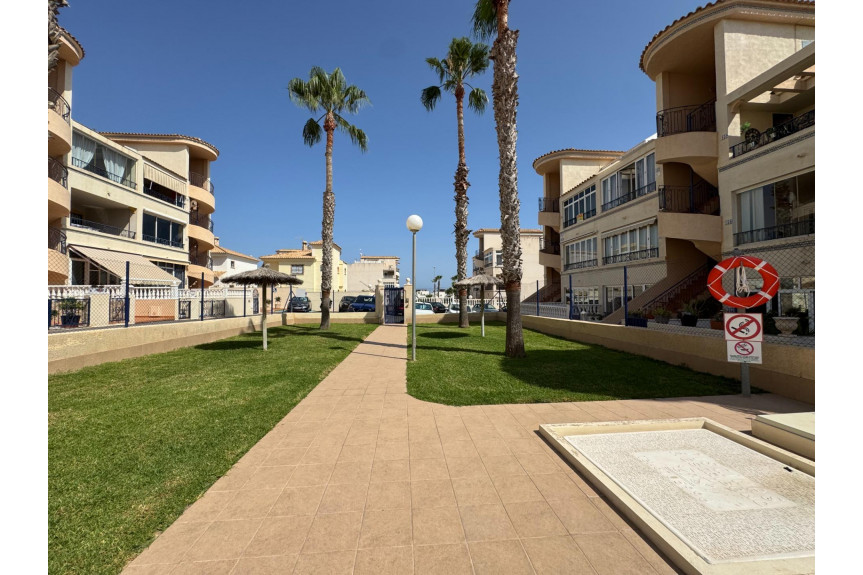 Torrevieja, Apartment