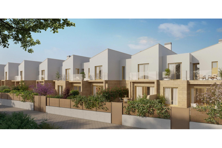 Denia, New investment