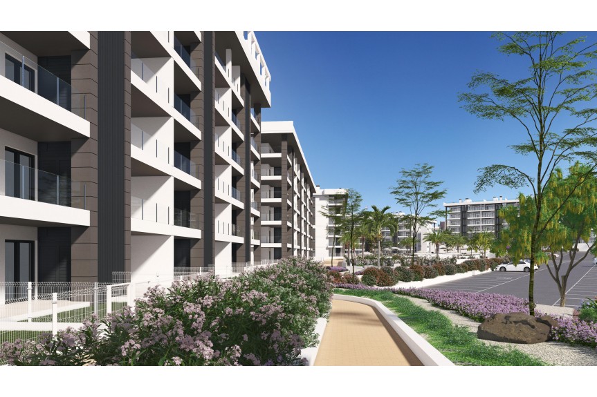 Torrevieja, Apartments