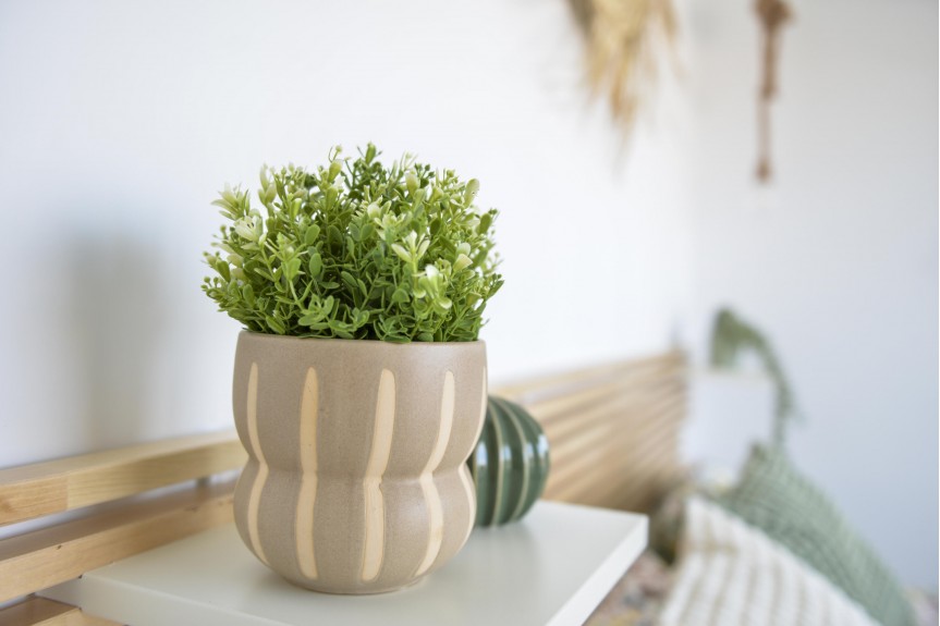 San Pedro del Pinatar, Wille z basenem