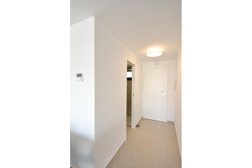 San Miguel de Salinas, New housing complex