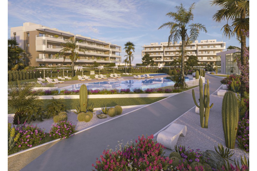 Torrevieja, Nowe apartamenty