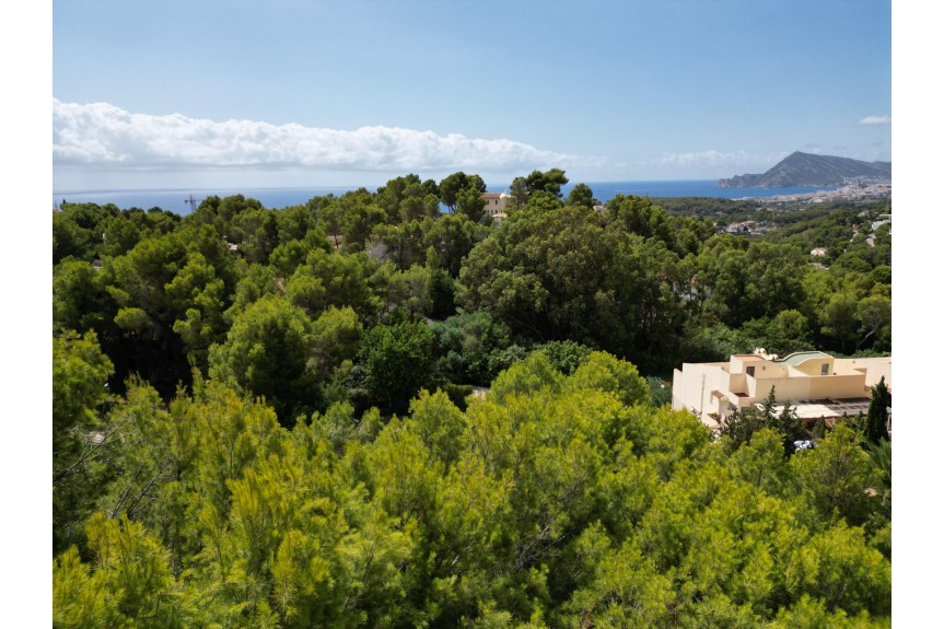 Altea, Luksusowa willa