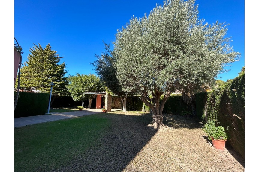 Dehesa de Campoamor, Willa z basenem