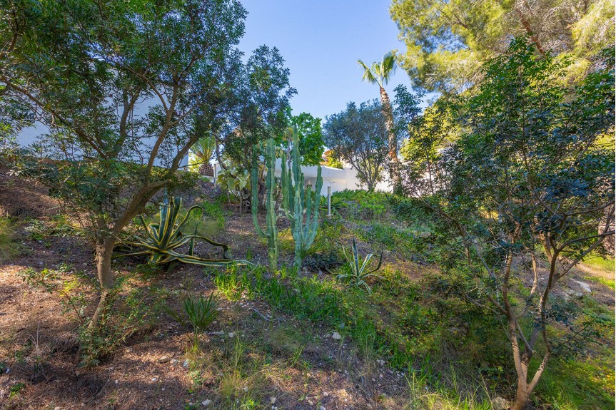 Villamartin, Willa z basenem