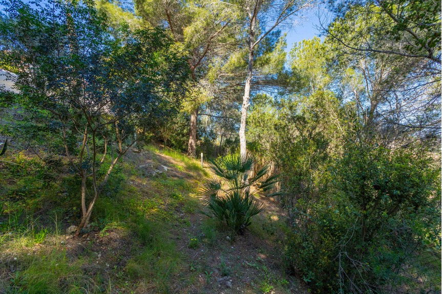 Villamartin, Willa z basenem