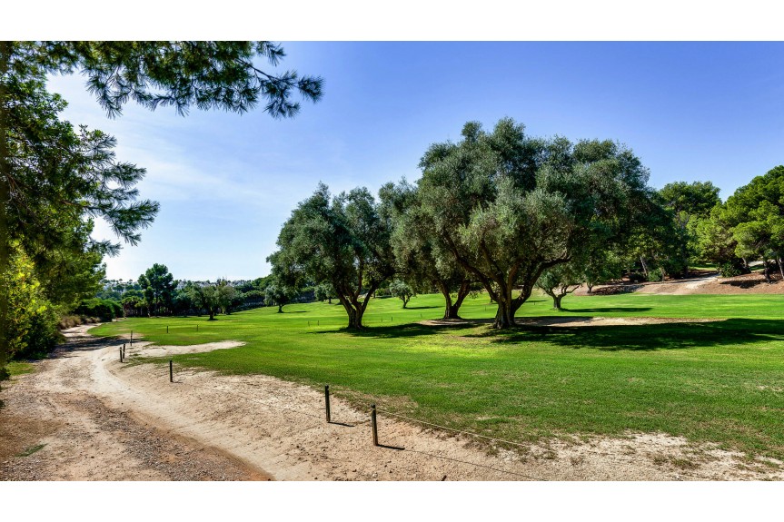 Orihuela Costa, Wyjątkowa Willa
