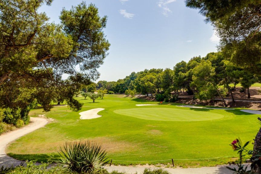 Orihuela Costa, Wyjątkowa Willa