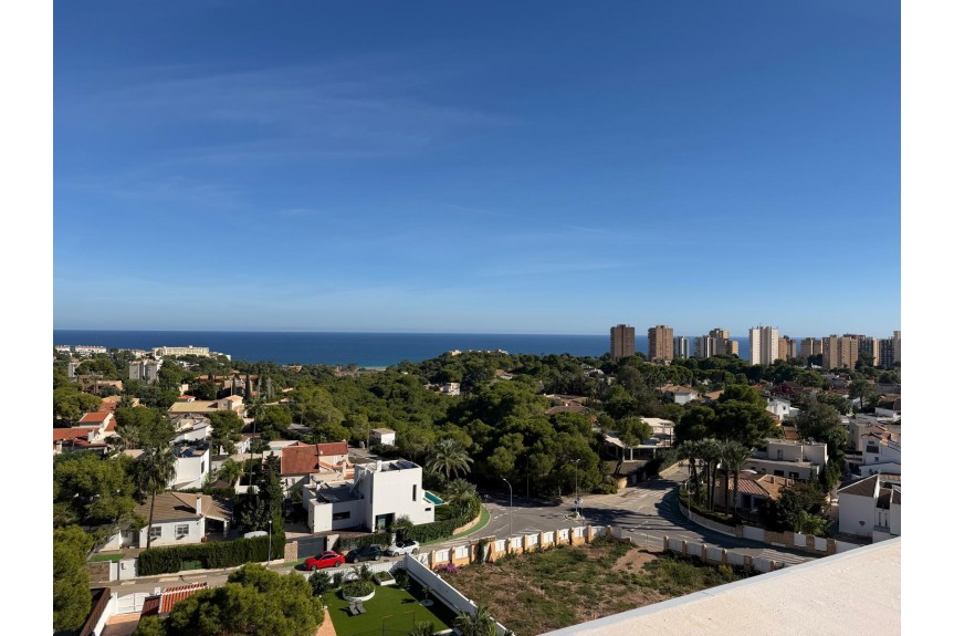 Dehesa de Campoamor, Luksusowy apartament