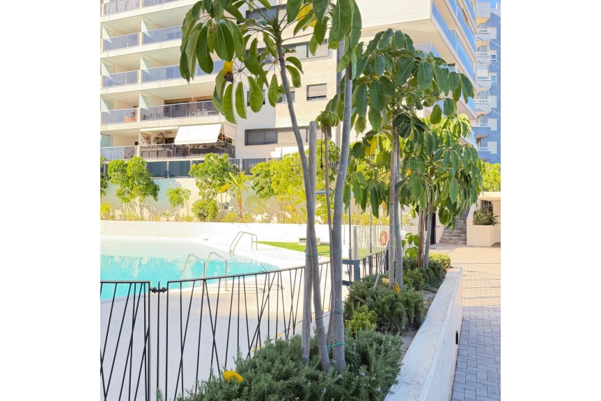 Dehesa de Campoamor, Luksusowy apartament